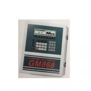 DigtalFlow GM868气体流量计