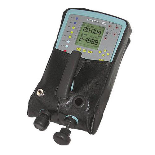 Druck DPI610S